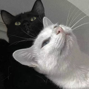 国产学生粉嫩无套进入在线
